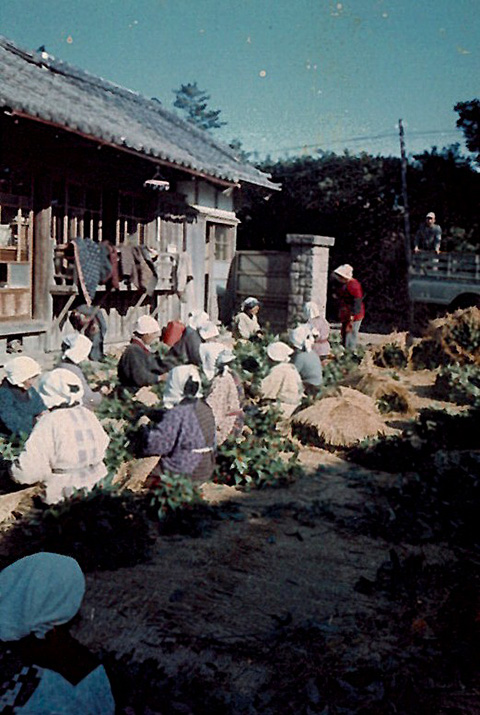 古い家と千両の作業をする女性たち